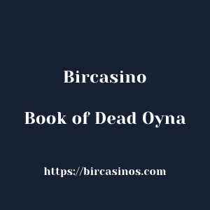 Bircasino Book of Dead Oyna