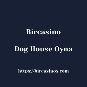 Bircasino Dog House Oyna