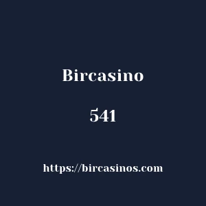 Bircasino 541